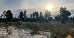 Terreno de 3300 metros en El Fortín Terreno de 3300 metros en El Fortín