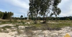 Terreno de 3300 metros en El Fortín Terreno de 3300 metros en El Fortín