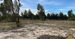 Terreno de 3300 metros en El Fortín Terreno de 3300 metros en El Fortín
