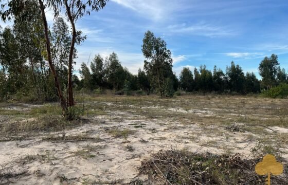 Terreno de 3300 metros en El Fortín