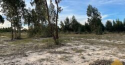 Terreno de 3300 metros en El Fortín Terreno de 3300 metros en El Fortín