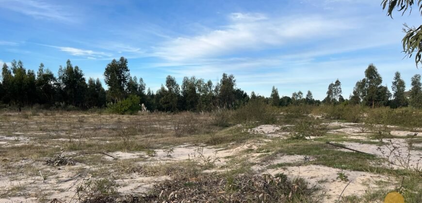 Terreno de 3300 metros en El Fortín