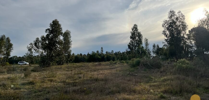 Terreno de 3300 metros en El Fortín
