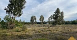 Terreno de 3300 metros en El Fortín Terreno de 3300 metros en El Fortín
