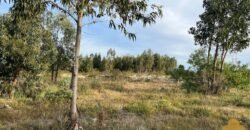 Terreno de 3300 metros en El Fortín Terreno de 3300 metros en El Fortín