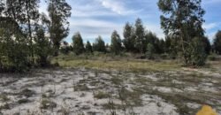 Terreno de 3300 metros en El Fortín Terreno de 3300 metros en El Fortín