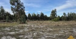 Terreno de 3300 metros en El Fortín Terreno de 3300 metros en El Fortín