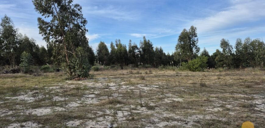 Terreno de 3300 metros en El Fortín
