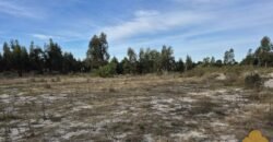 Terreno de 3300 metros en El Fortín Terreno de 3300 metros en El Fortín