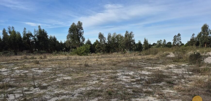 Terreno de 3300 metros en El Fortín