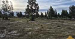 Terreno de 3300 metros en El Fortín Terreno de 3300 metros en El Fortín