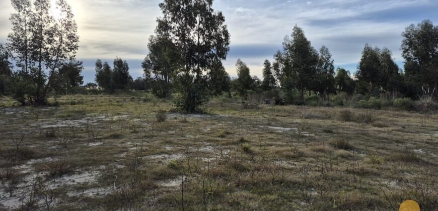 Terreno de 3300 metros en El Fortín