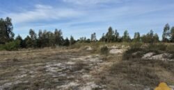 Terreno de 3300 metros en El Fortín Terreno de 3300 metros en El Fortín