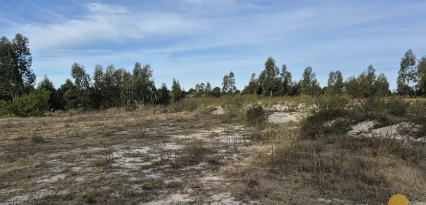 Terreno de 3300 metros en El Fortín