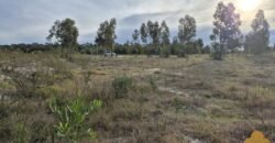 Terreno de 3300 metros en El Fortín Terreno de 3300 metros en El Fortín