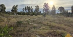 Terreno de 3300 metros en El Fortín Terreno de 3300 metros en El Fortín