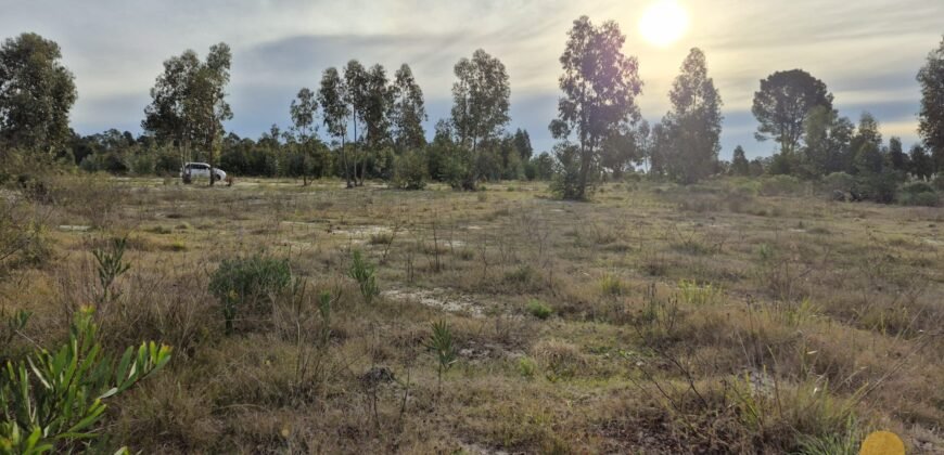 Terreno de 3300 metros en El Fortín