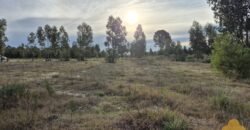 Terreno de 3300 metros en El Fortín Terreno de 3300 metros en El Fortín