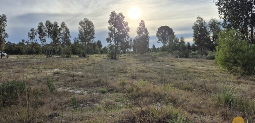 Terreno de 3300 metros en El Fortín