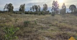 Terreno de 3300 metros en El Fortín Terreno de 3300 metros en El Fortín