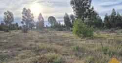 Terreno de 3300 metros en El Fortín Terreno de 3300 metros en El Fortín