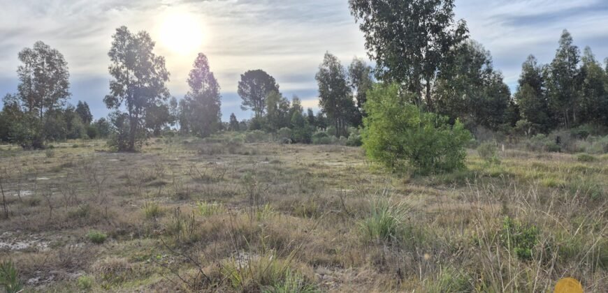 Terreno de 3300 metros en El Fortín