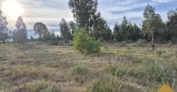 Terreno de 3300 metros en El Fortín Terreno de 3300 metros en El Fortín