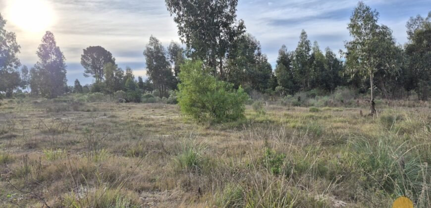 Terreno de 3300 metros en El Fortín