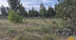 Terreno de 3300 metros en El Fortín Terreno de 3300 metros en El Fortín