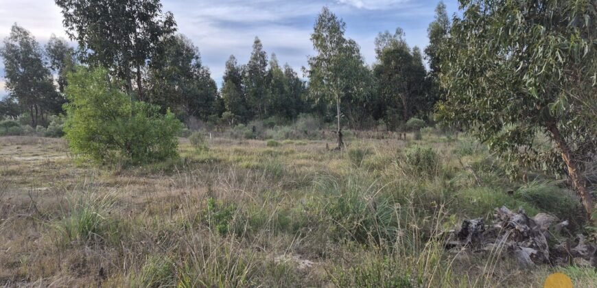 Terreno de 3300 metros en El Fortín