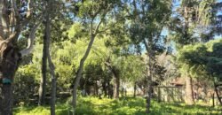 Terreno en Parque del Plata Sur Terreno en Parque del Plata Sur