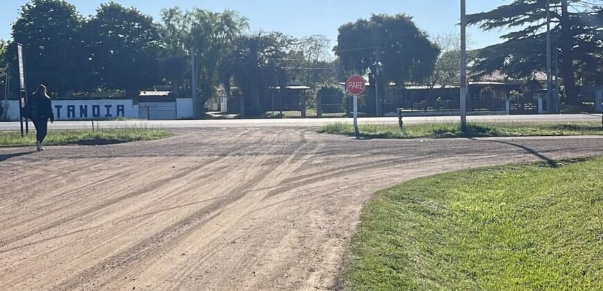 Local City Golf